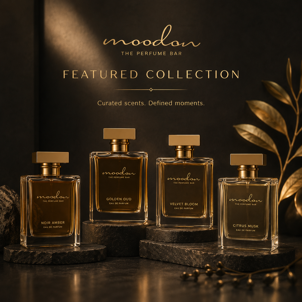 MOODON ALL COLLECTION