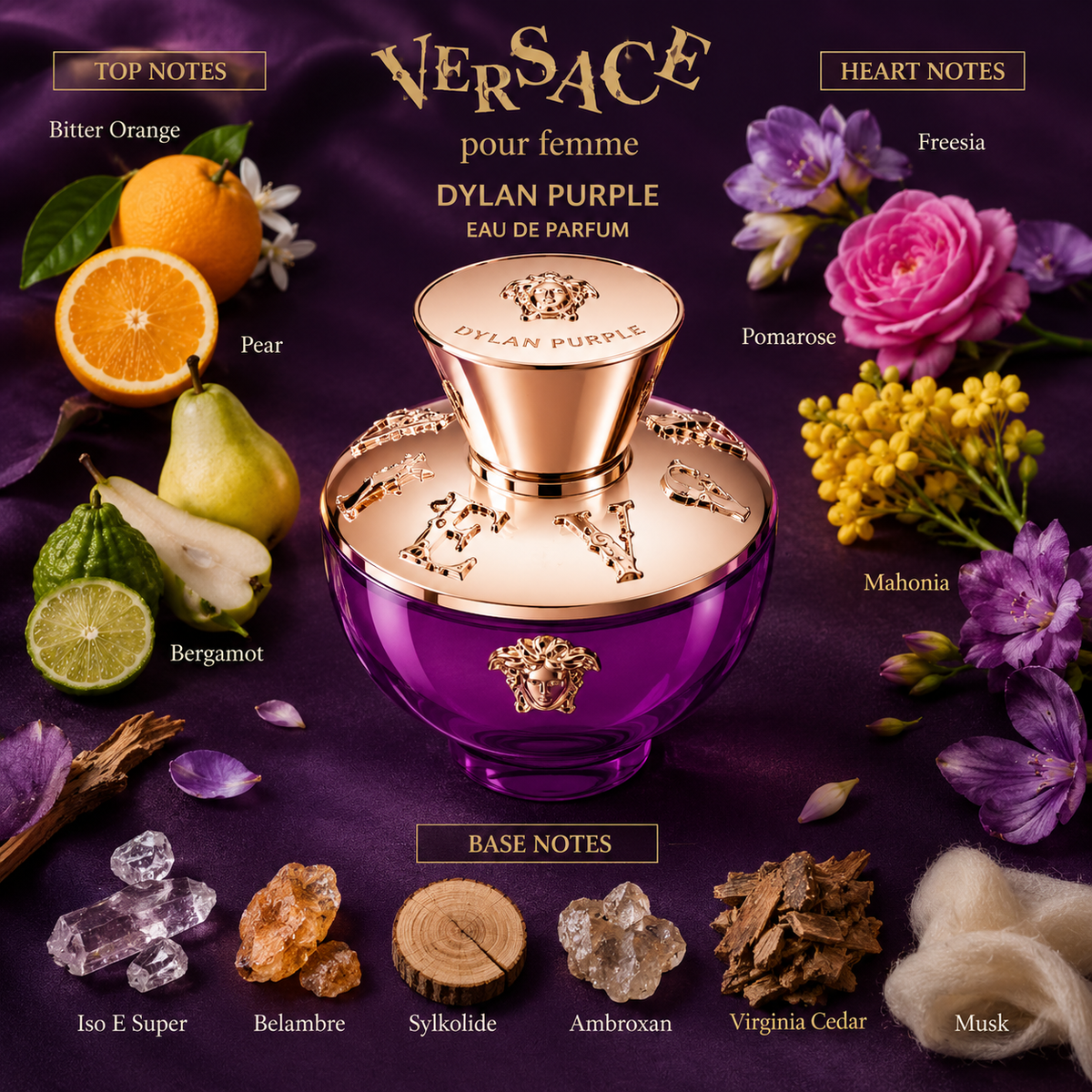 Versace Dylan Purple Eau de Parfum 100ml for Women