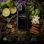 DAVIDOFF Cool Water Reborn Eau de Toilette for Men – 125 ml